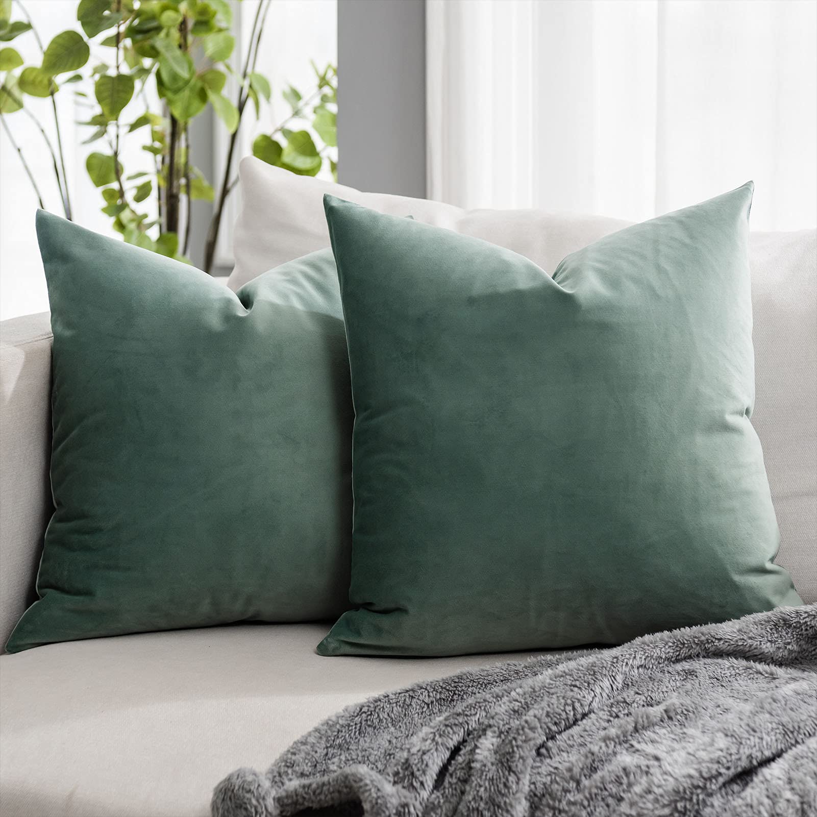 Quafoo Sage Soft Velvet Throw Pillow Covers 24X24 Inch Set Of 2 For Sofa Couch Bed Living Room Decorative Luxury Solid Rectangle