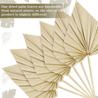 Chenkaiyang 40 Pcs Boho Dried Palm Spears Leaves Bulk, Small Natural Dried Real Palm Fans,Dried Palm Leaves With Stem Dried Leaf