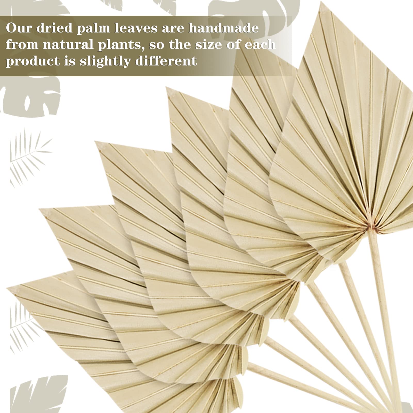 Chenkaiyang 40 Pcs Boho Dried Palm Spears Leaves Bulk, Small Natural Dried Real Palm Fans,Dried Palm Leaves With Stem Dried Leaf