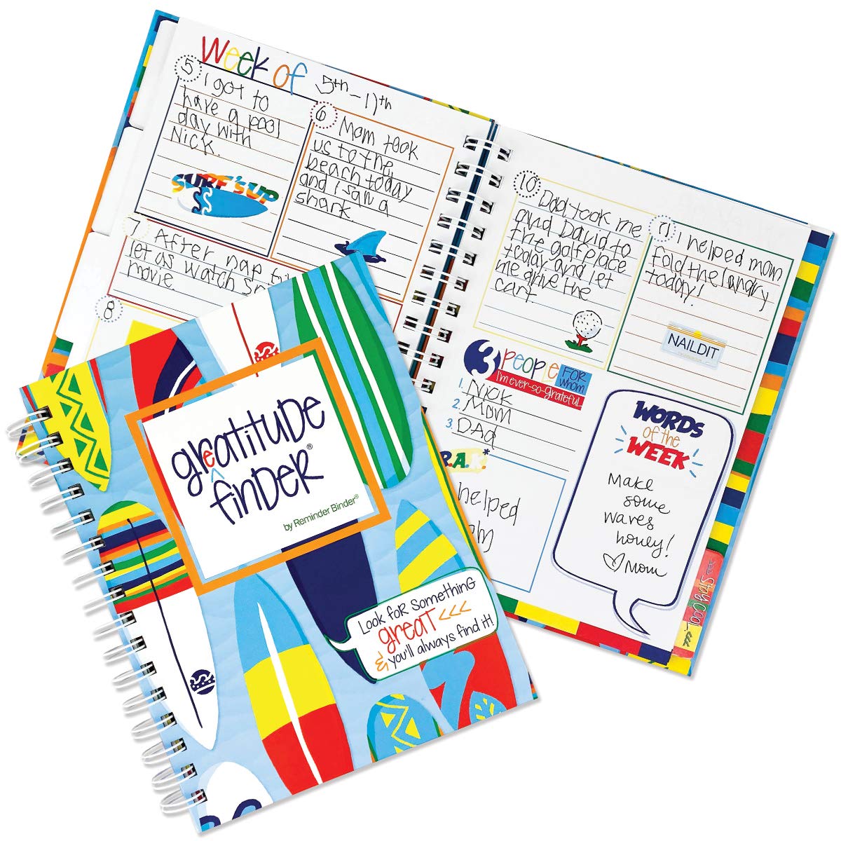 Denise Albright Gratitude Finder 52 Week Non-Dated Journal For Boys With 177 Totally Cool Hand-Illustrated Stickers (Hang Ten)