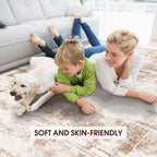 Area Rug Living Room Rugs: 5X7 Indoor Soft Fluffy Rug Abstract Carpet For Bedroom Kitchen Dining Room Floor Washable Plush Throw