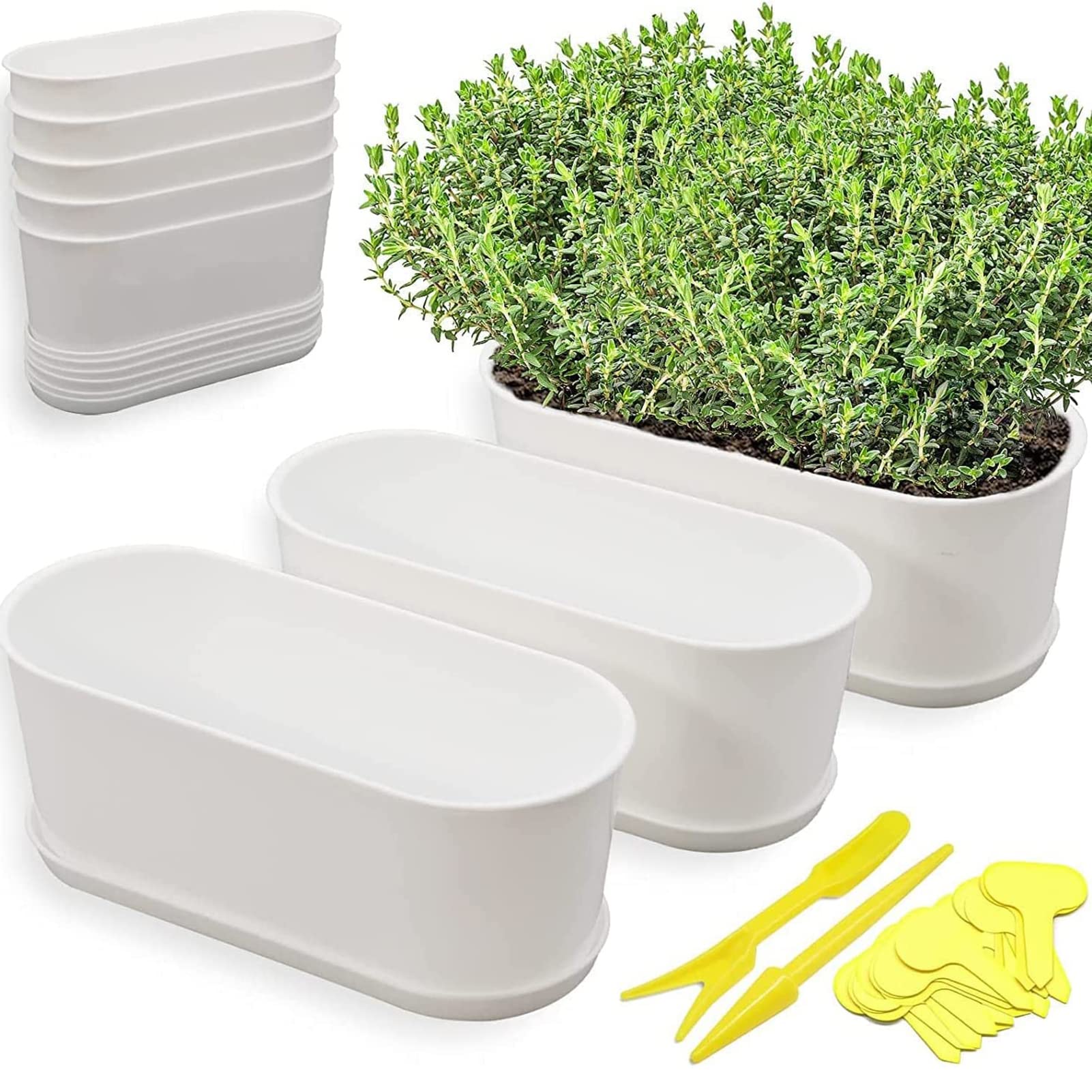 Torfican 20 Set Window Herb Planter Box Rectangular,8.5X3.5 Inch White Plastic Planters With Multiple Drainage Holes And Trays,I