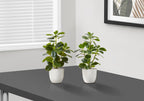 Monarch Specialties I 9557 Artificial Plant, 14' Tall, Ficus, Set of 2, Decorative, Green Leaves, White Pots