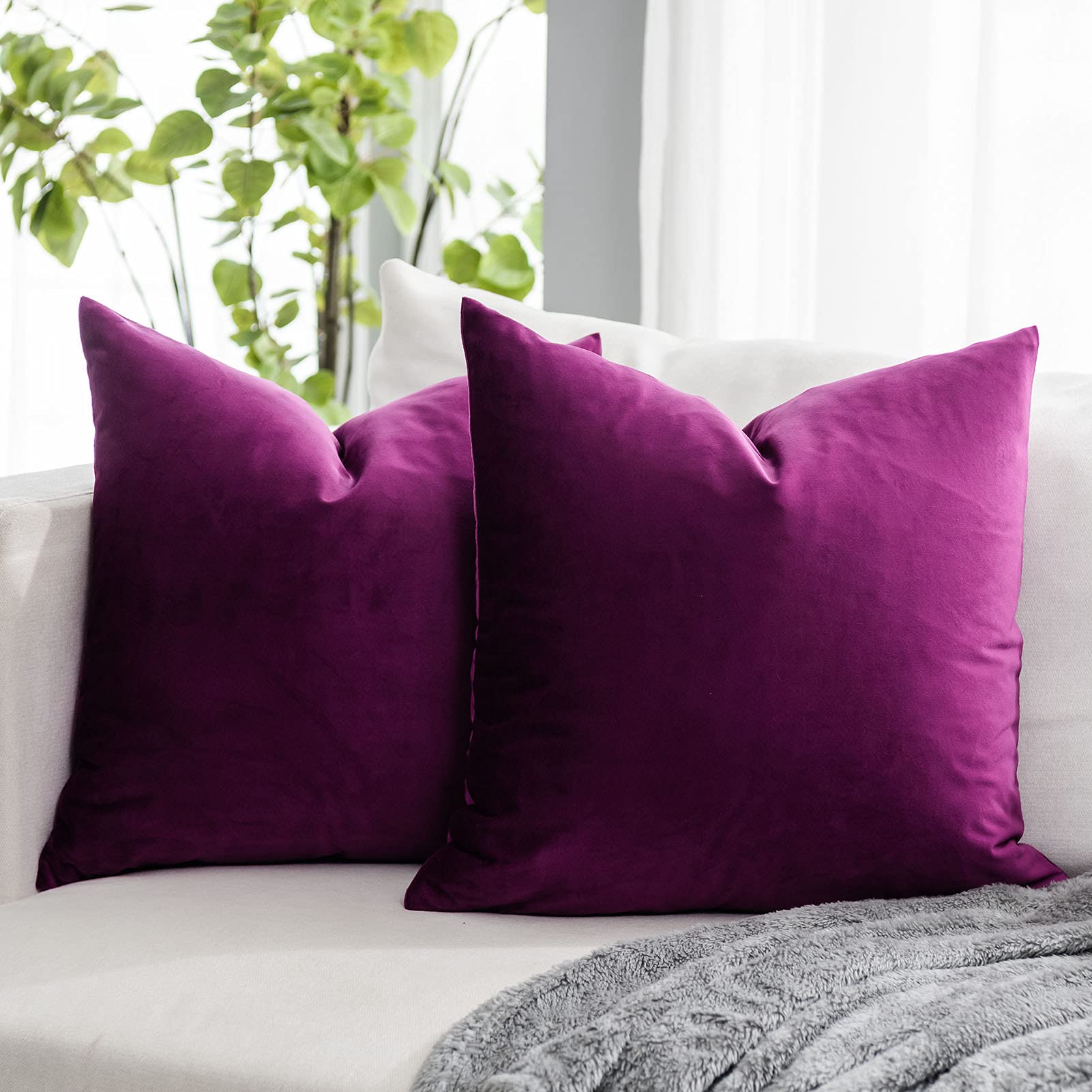 Quafoo Purple Soft Velvet Throw Pillow Covers 26X26 Inch Set Of 2 For Sofa Couch Bed Living Room Decorative Luxury Solid Square