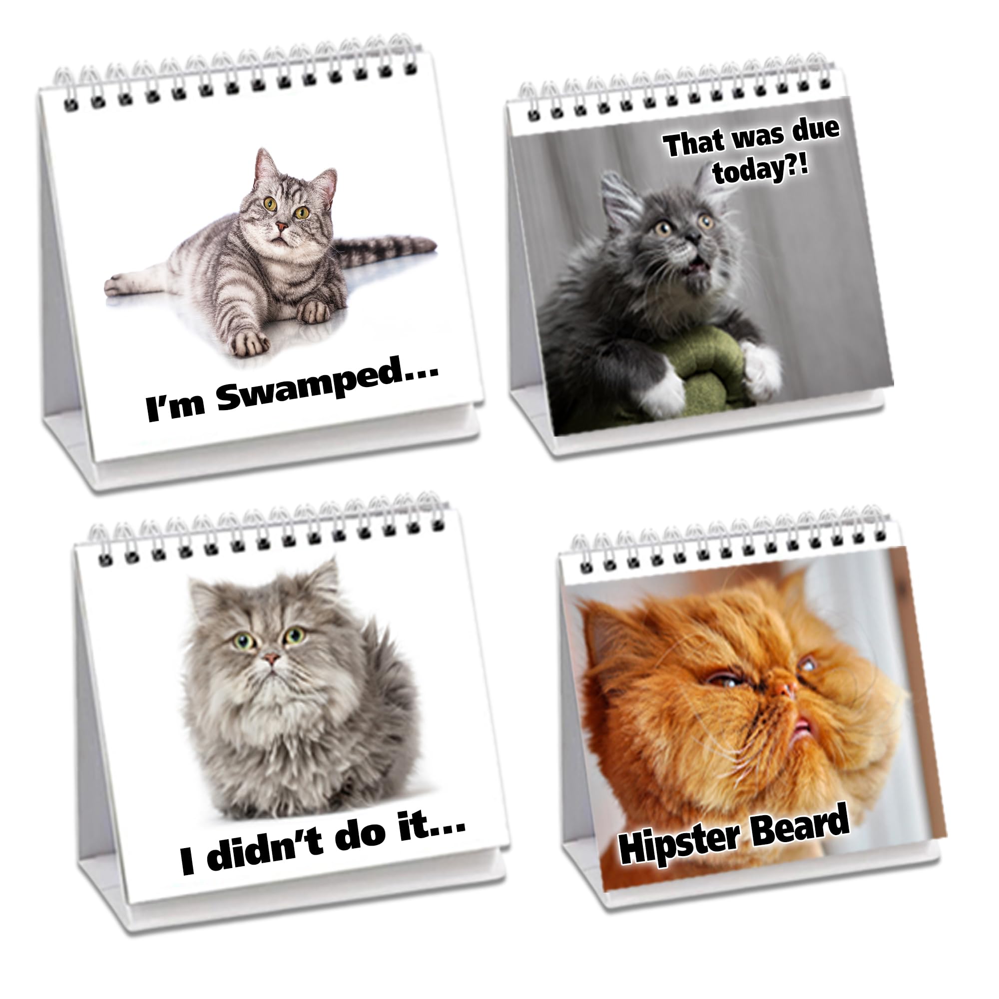 Cat Lover Gifts For Women - Funny Desk Signs & Office Decor | Moodycards With Cat Memes | Ideal Coworker & Funny Gifts For Colle