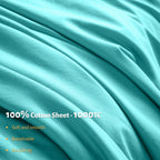 Shilucheng 100% Egyptian Cotton Queen Size Sheets Set - 1000 Thread Count,Luxury Cotton Bed Sheets,Breathable & Cooling Bedding And Pillow Cases, 16 Inch Deep Pocket - 4 Piece (Seafoam, Queen)
