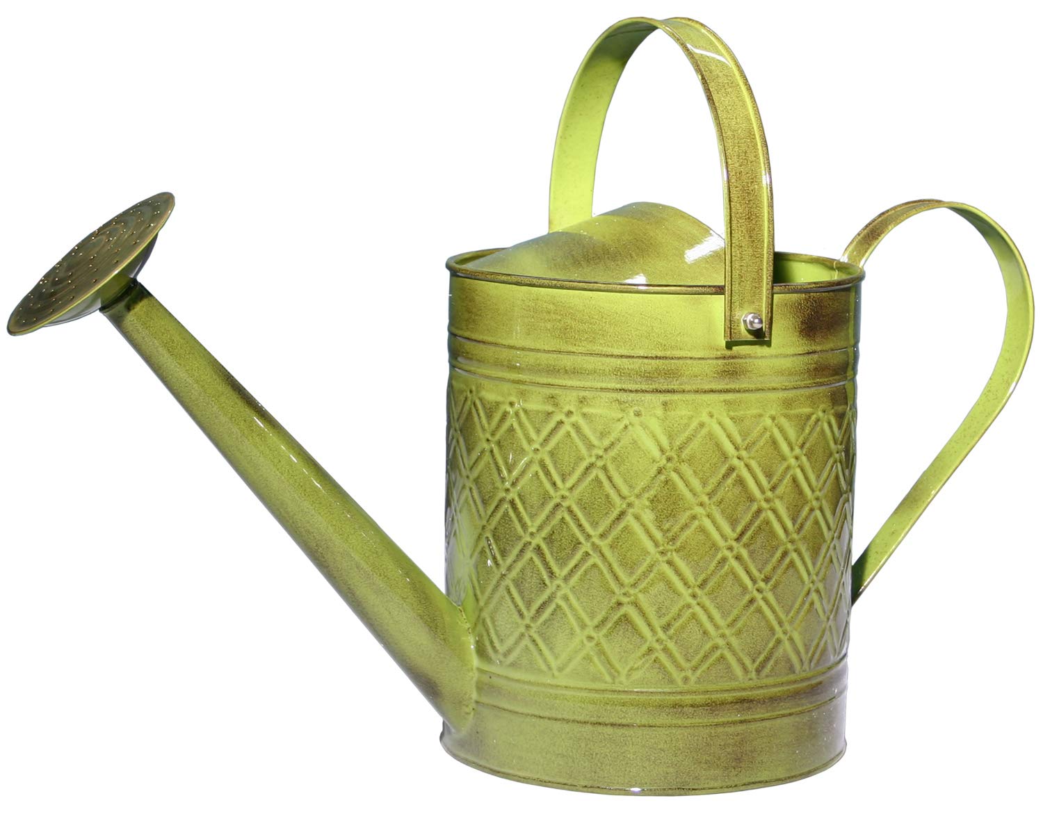 Robert Allen Home & Garden Mpt01500 Wexley Metal Watering Can, 2 Gallon, Tansy Green