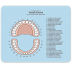 Emvency Mouse Pad Pink Education Tooth Chart Number Infographic Blue Dental Human Anatomy 9.5" x 7.9" Rubber