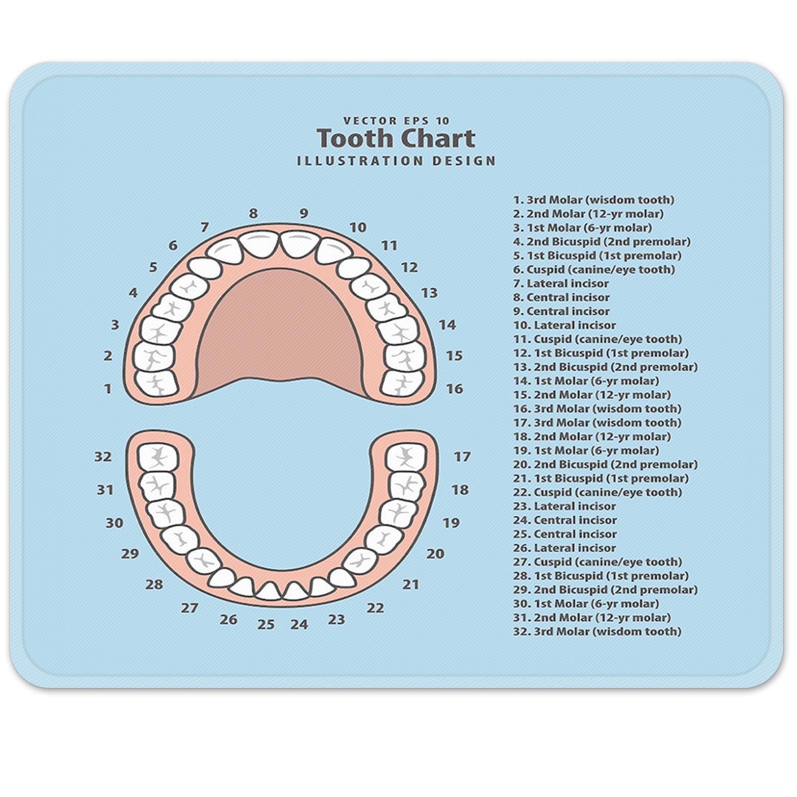 Emvency Mouse Pad Pink Education Tooth Chart Number Infographic Blue Dental Human Anatomy 9.5" x 7.9" Rubber