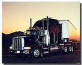 Peterbilt Semi with Trailer Big Rig Truck Wall Decor Art Print Poster (16x20)