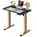 ErGear Height Adjustable Electric Standing Desk, 32 x 19 Inches Sit Stand up Desk, Memory Computer Home Office Desk, Black+Gold