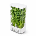 Herb Keeper Storage Container, Divided Removable Partition Herb Saver
