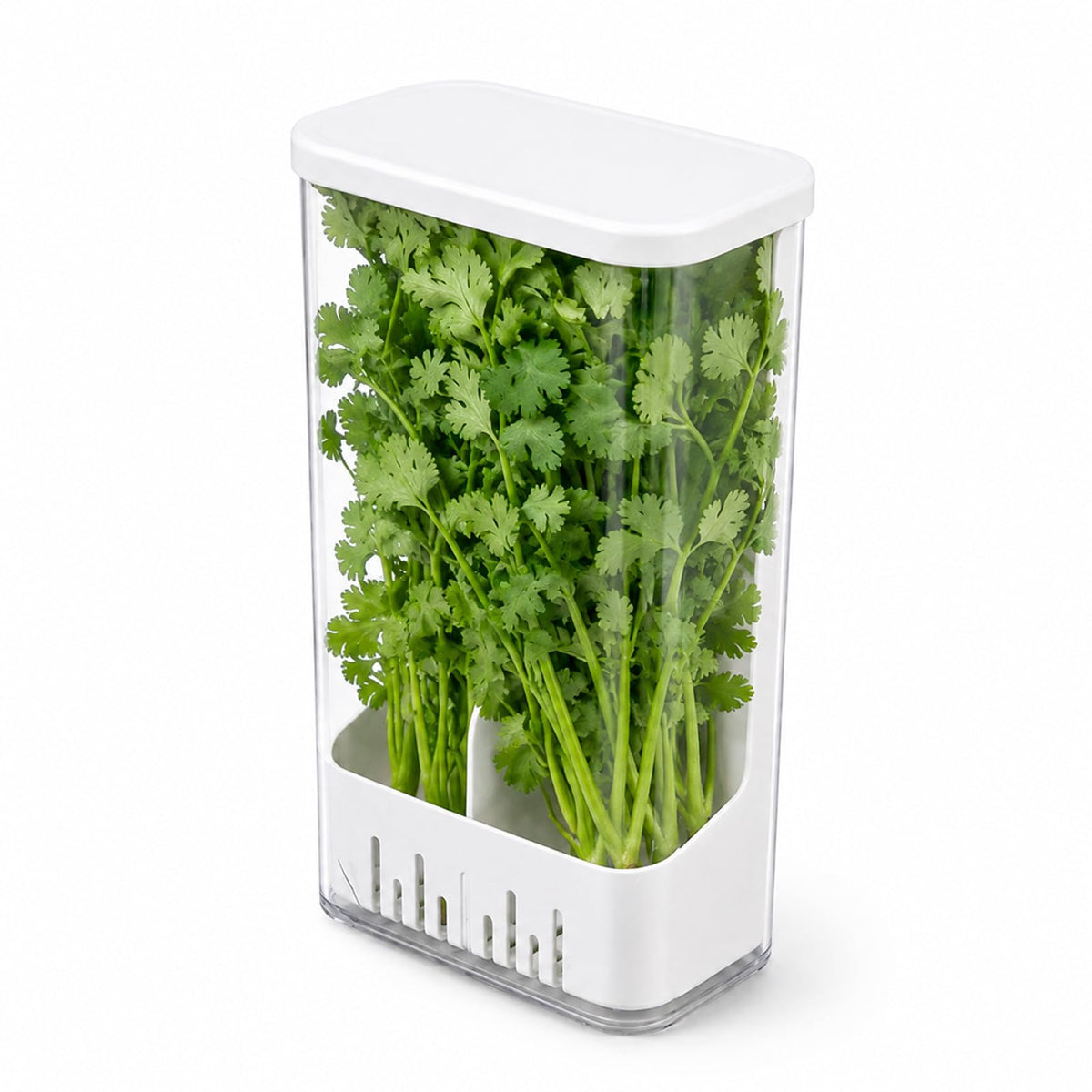 Herb Keeper Storage Container, Divided Removable Partition Herb Saver
