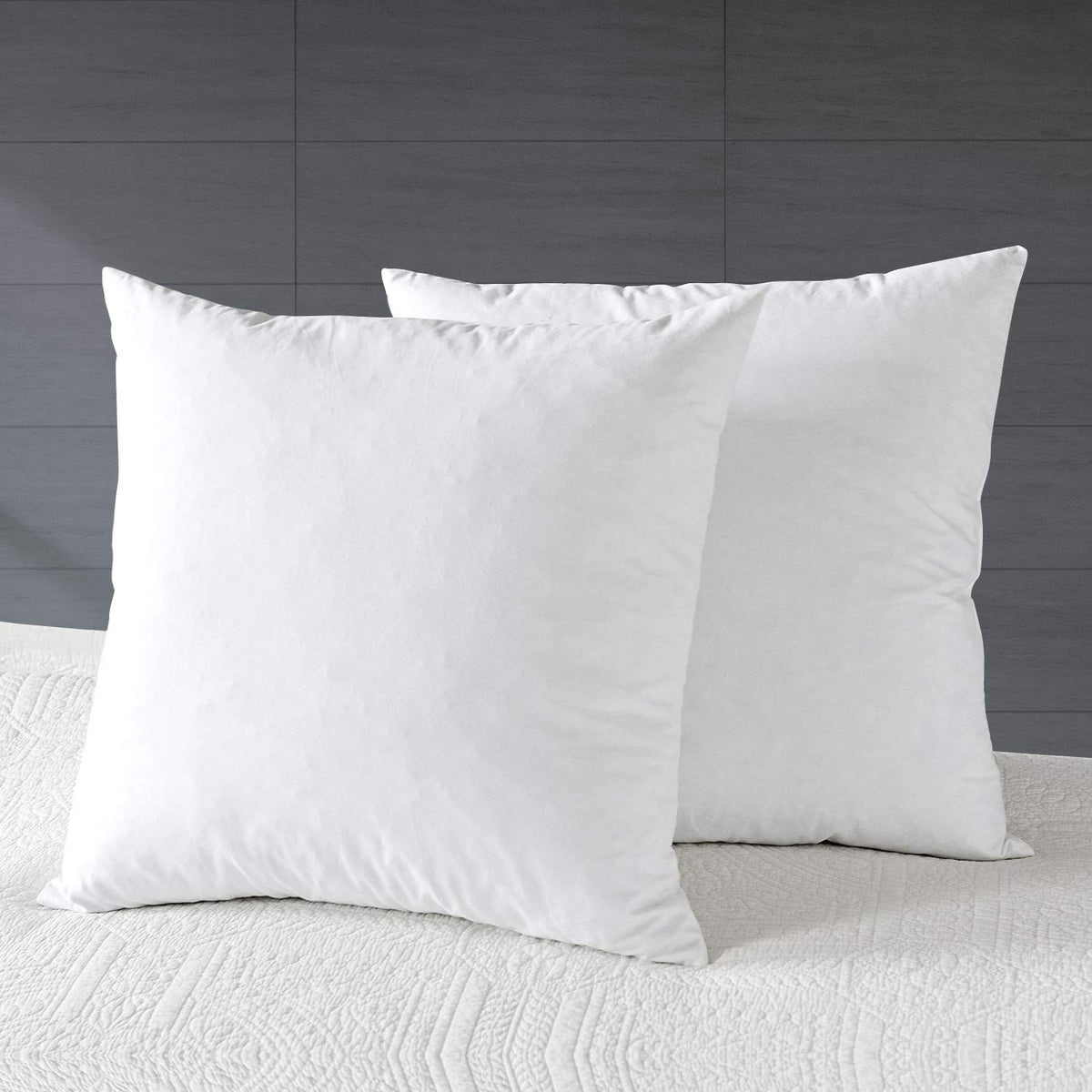 Apsmile 16X16 Goose Down Feather Throw Pillow Inserts 2 Pack - Premium Soft Cotton Euro Square Decorative Pillow Core Set For Be