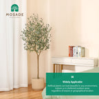 Mosade Artificial Olive Tree 6 Feet Fake Olive Silk Plant And Handmade Seagrass Basket, Perfect Tall Faux Topiary Silk Tree For