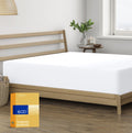 Thread Spread Queen Size Fitted Sheet Only - 100% Egyptian Cotton 600 Thread Count Deep Pocket White Queen Fitted Sheet, Fitted
