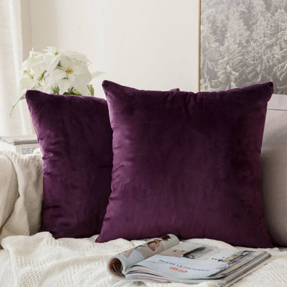 Miulee Pack Of 2 Velvet Pillow Covers Decorative Square Pillowcase Soft Solid Cushion Case For Sofa Bedroom Car 26 X 26 Inch Egg