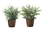 Monarch Specialties I 9560 Artificial Plant, 13' Tall, Eucalyptus Grass, Set of 2, Decorative, Green Leaves