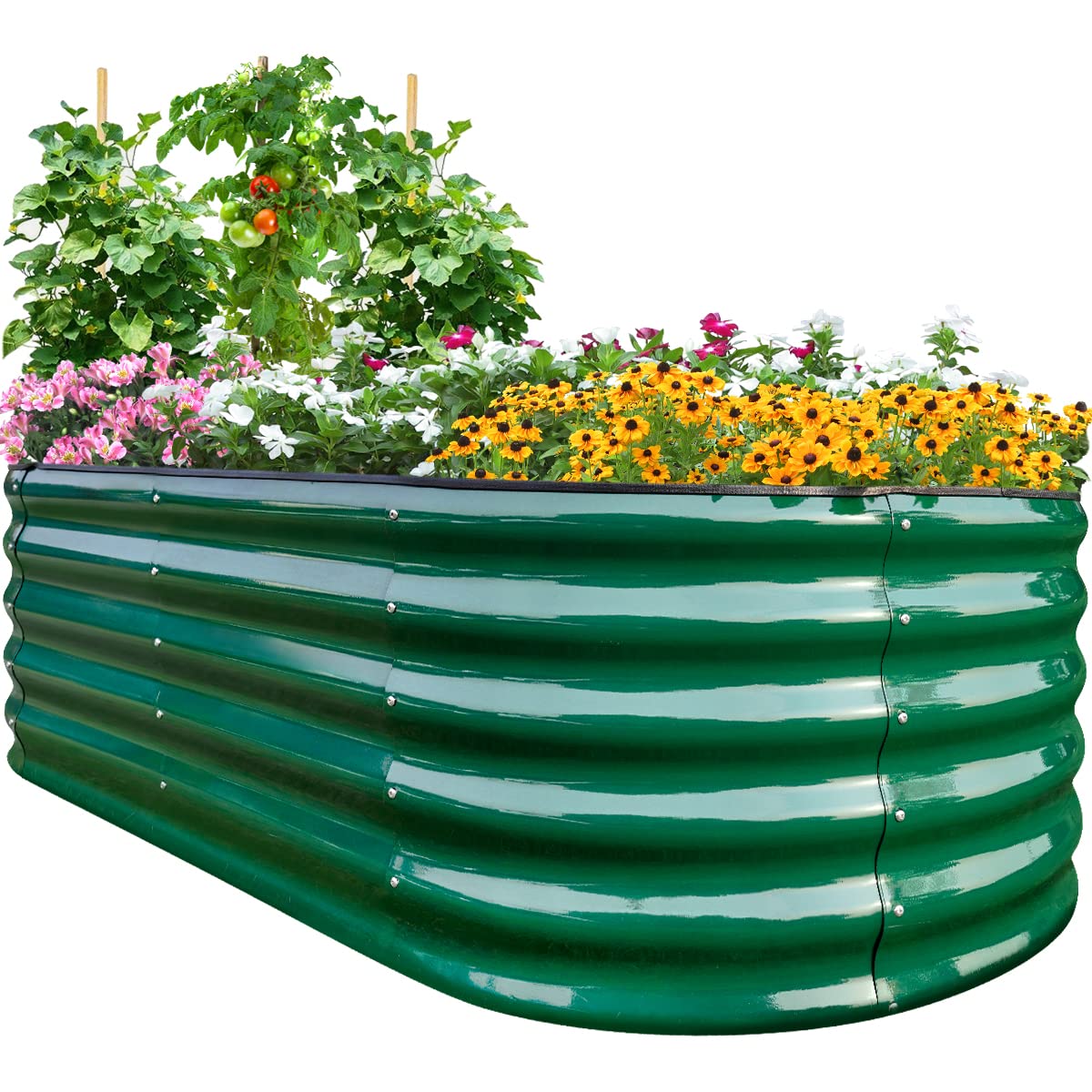 Quictent Galvanized Tall Raised Garden Bed Kit, 6X3X1.5 Ft Oval Large Planting Box Rubber Strip Edging, For Vegetables Outdoor D