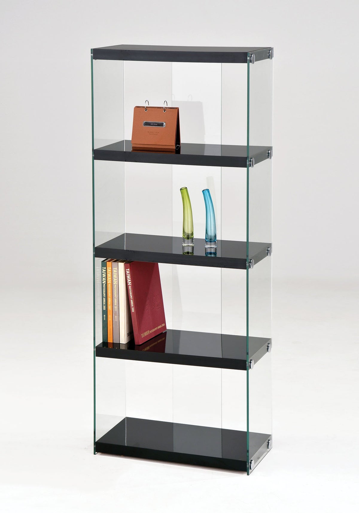 HomeRoots Office Black & Clear Glass Bookcase Multicolor