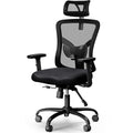 NOBLEWELL Ergonomic Office Chair, Desk Chair with 2   Adjustable Lumbar Support, Headrest, 2D Armrest, Office Chair Backrest 1