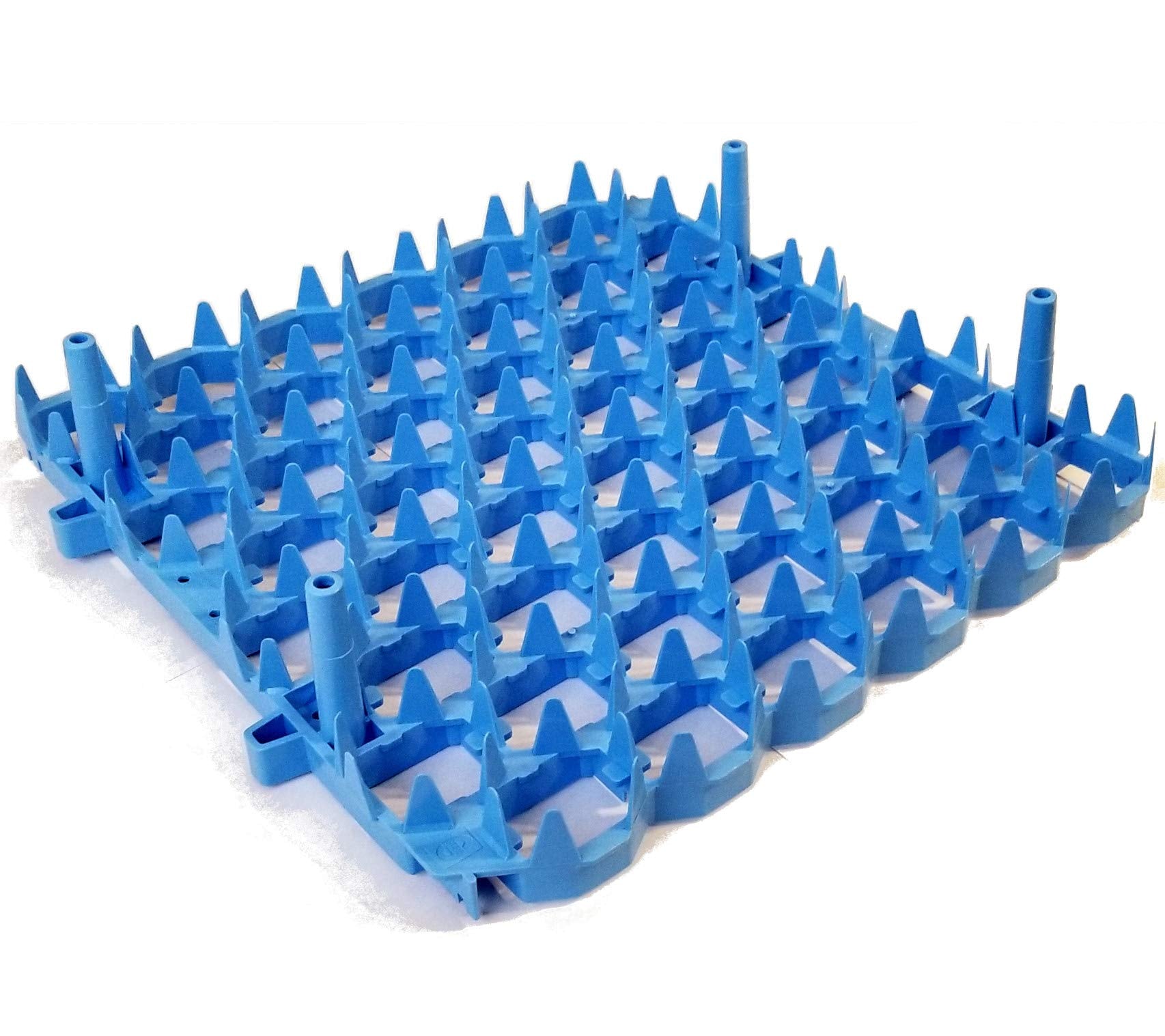 Universal Chicken Egg Trays (6 Pack)
