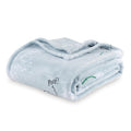 Berkshire Blanket Peanuts Velvetloft Cute Character Snoopy Plush Blanket,Peanuts Snoopy Make A Wish Spring Blue,King 90 In X 108