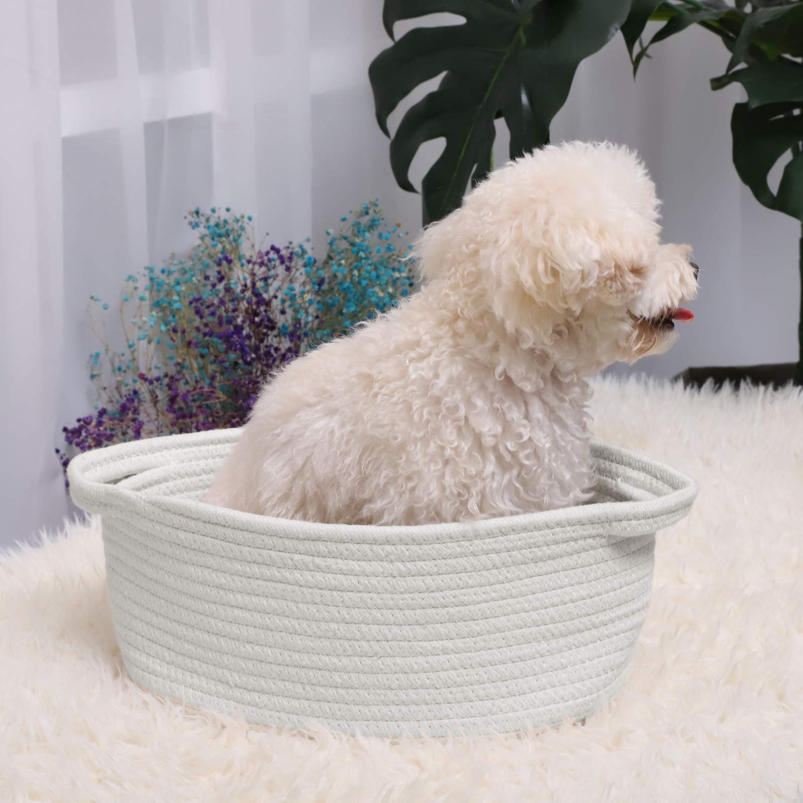 ?2 Pack ?Abenkle Small Woven Basket, 12'X 8' X 5' Cute Small Basket, Rope Room Shelf Storage Basket, Cat Dog Toys Basket Ches