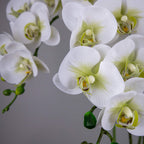 Fnize Faux Orchid Stems Real Touch Artificial Phalaenopsis Flowers Latex Petals 38 Inches 2Pcs (Green White)