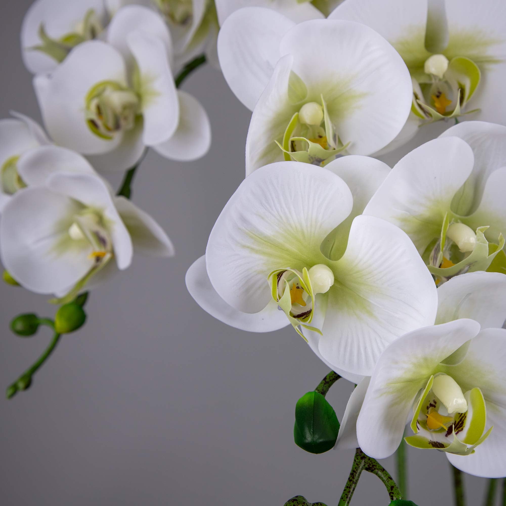 Fnize Faux Orchid Stems Real Touch Artificial Phalaenopsis Flowers Latex Petals 38 Inches 2Pcs (Green White)