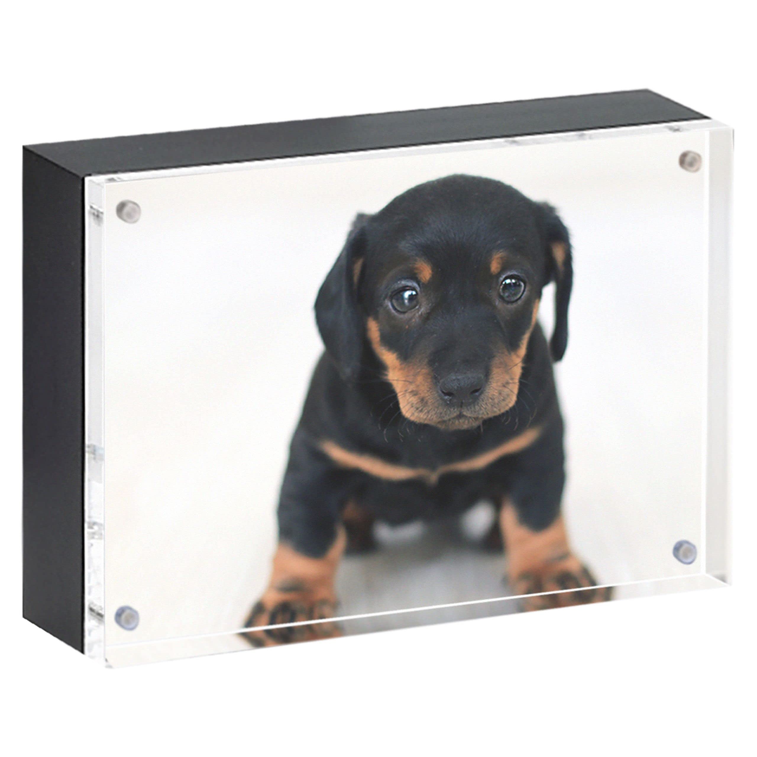 Black Wood Back Magnet Frame by Canetti-4x6 inch