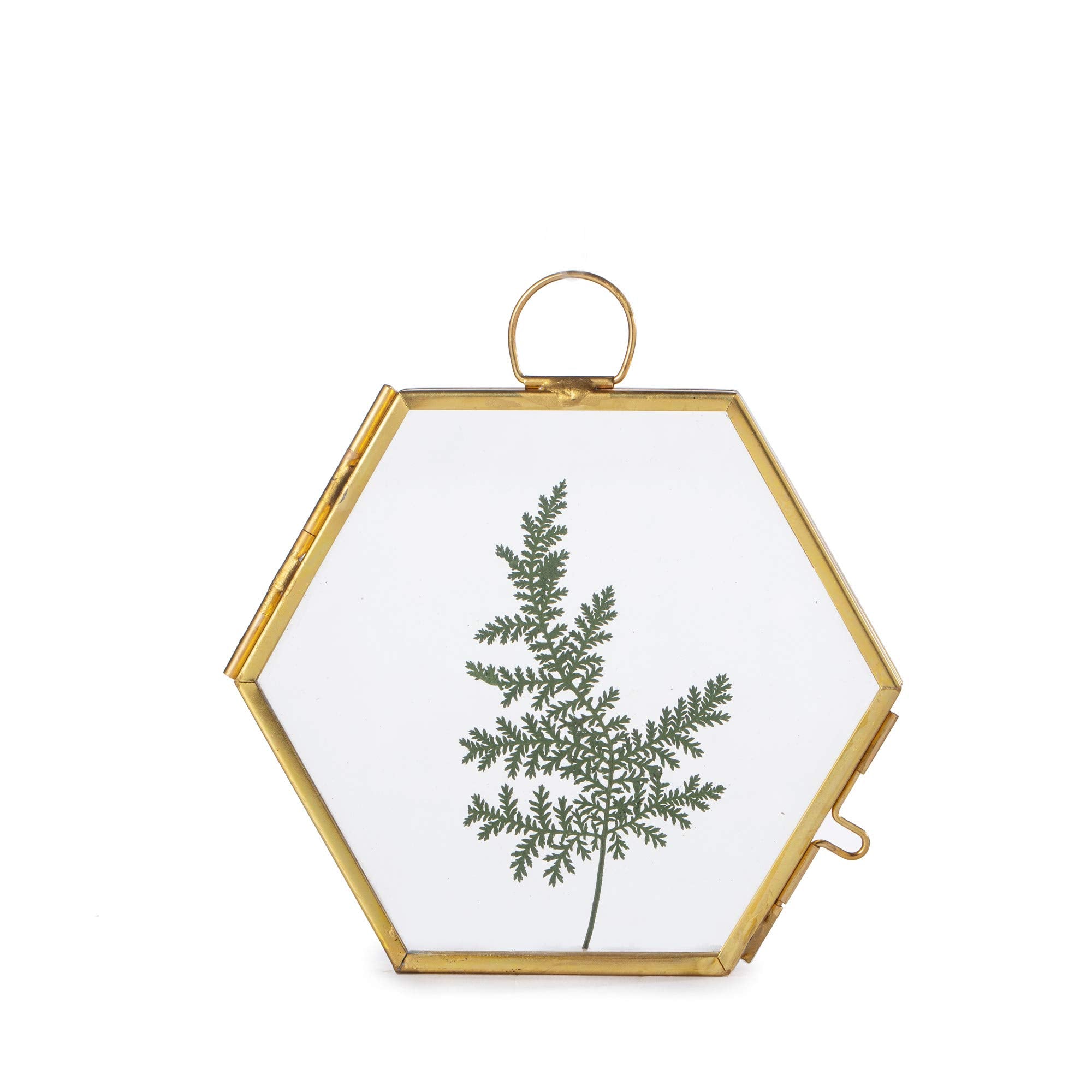 NCYP Mini Glass Floating Frame for Dried Flowers Plants, Photo - Side length 1.9 Inches - Wall Hanging Vertical Decor, Small Dou