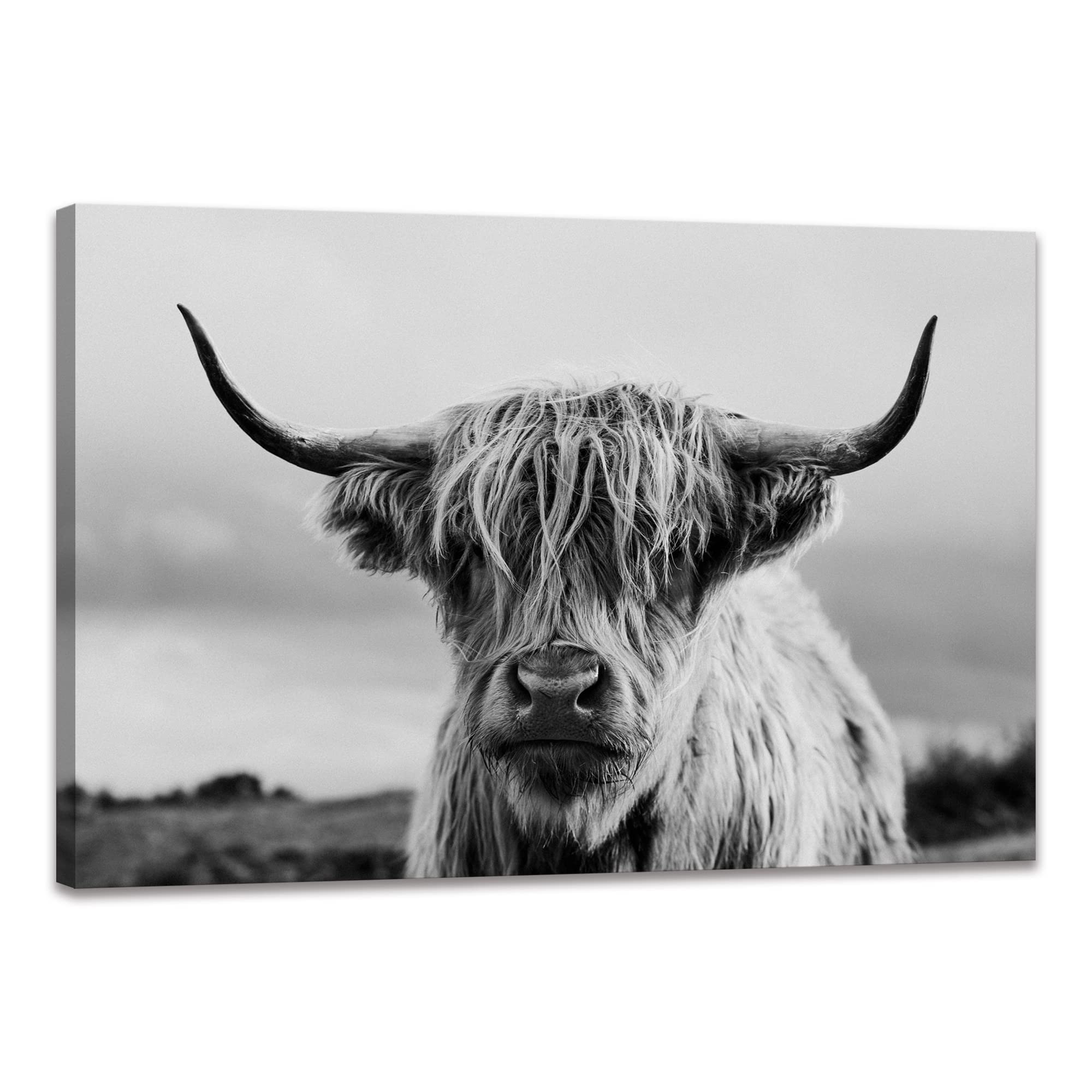Highland Cow Wall Art Canvas Print Black and White Animal Canvas Picture Framed Art Wall Decor for Bedroom Bathroom (16x24 inch)