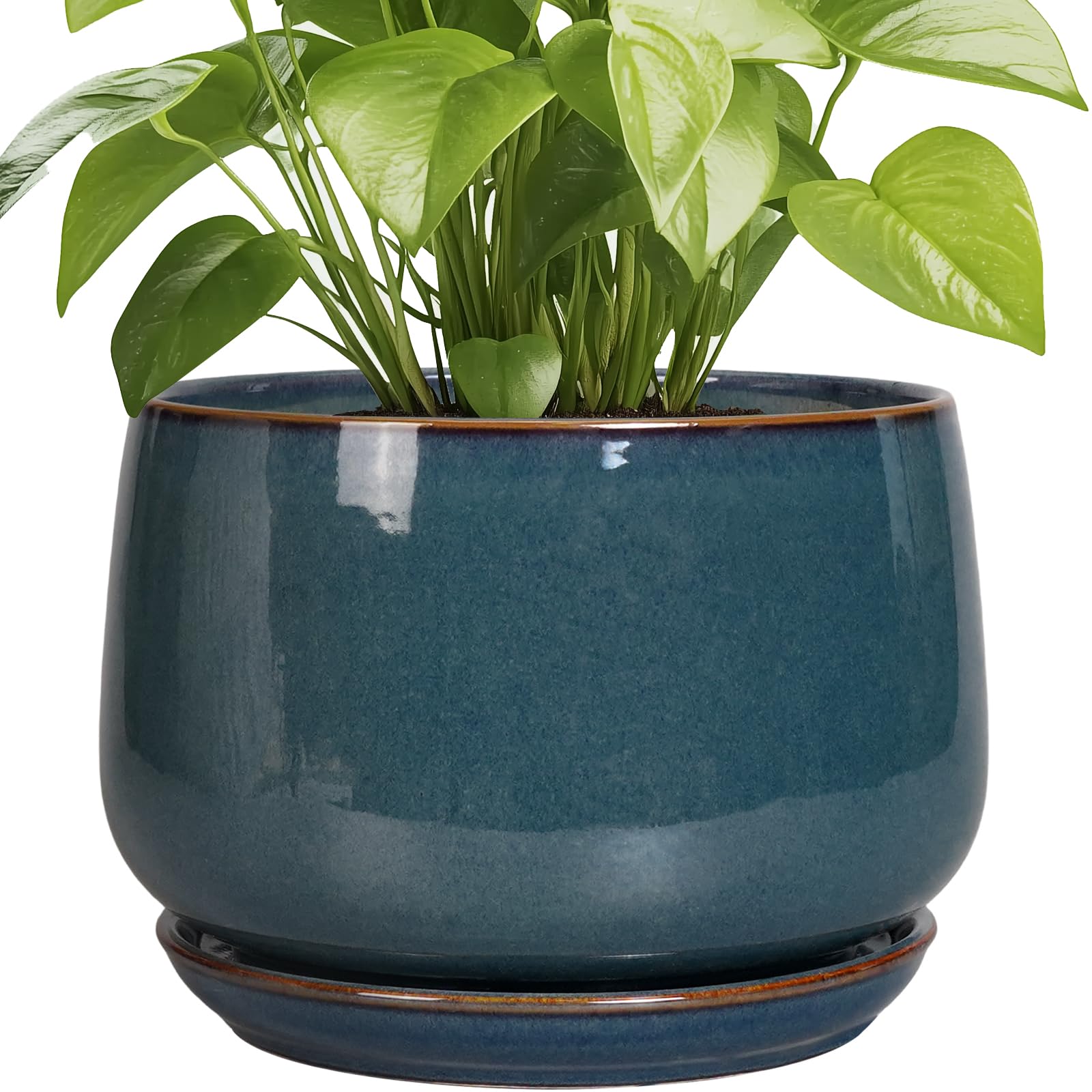 G Epgardening Ceramic Plant Pots - 9 Inch Round Modern Planter Indoor With Drainage And Tray For Indoor Outdoor Flower, Office D