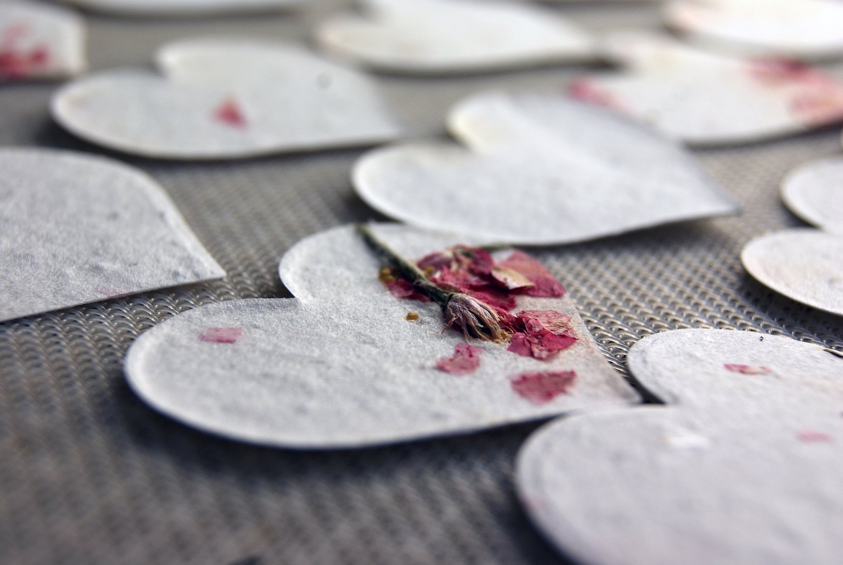 Of The Earth Handmade Paper - Small Heart Shape Seed Embedded Cotton Tags - Set Of 100 (24S Pink Petal)