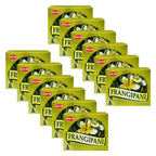 Trumiri Incense Cone Holder Bundle With Hem Firangipani Incense Cones - Pack Of 12 (Approx 120 Cones)