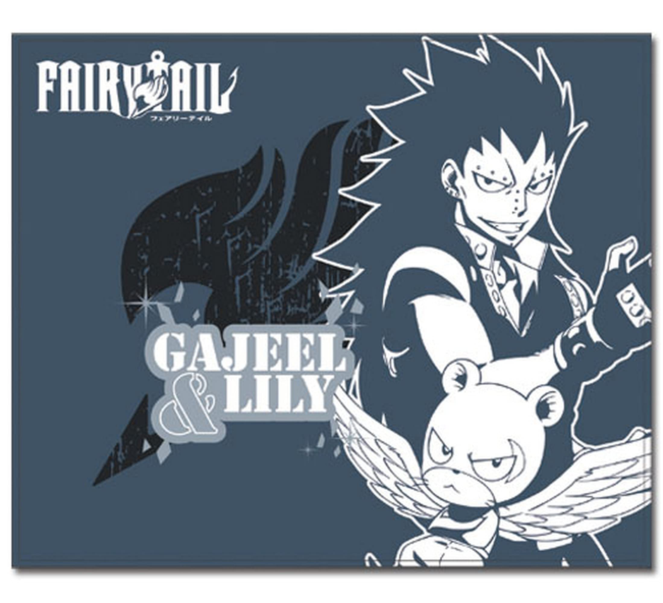 Great Eastern Entertainment 57573 Fairy Tail S4 Gajeel & Lily Throw Blanket, One Size, Muti/Colored