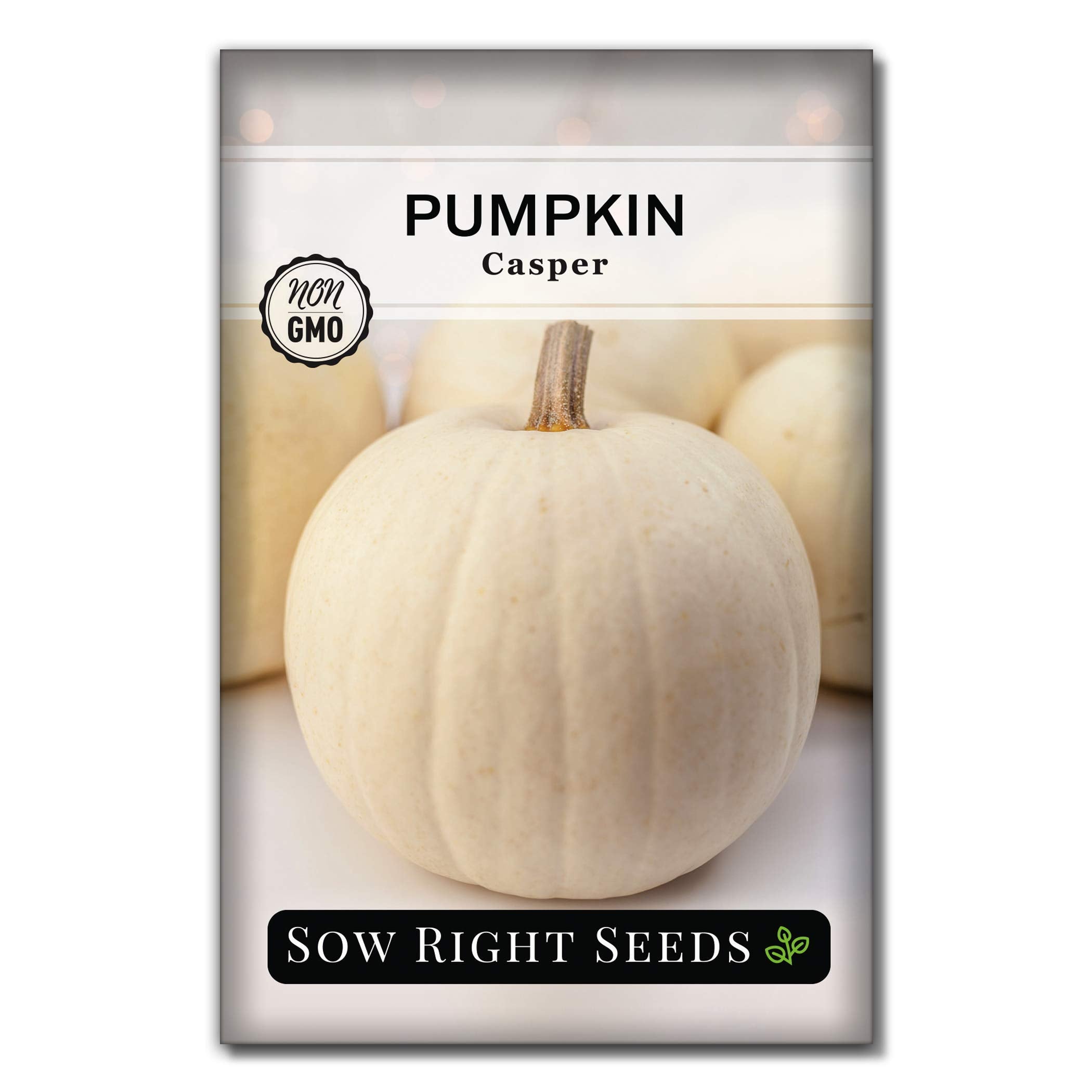 Sow Right Seeds - Casper Pumpkin Seed For Planting - Non-Gmo Heirloom Packet With Instructions To Plant A Home Vegetable Garden