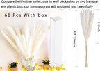 60 Pcs White Pampas Grass ,17 Inch/45 Cm Natural Dried Pampas Grass Branches Decor For Home Kitchen Garden Party Photographing F
