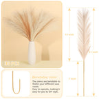 Septcat 30 Pcs Pampas Grass Decor 21.7'' Fluffy Faux Short Brown Pampas Grass Artificial Small Pompas Grass Flower Vase Filler F