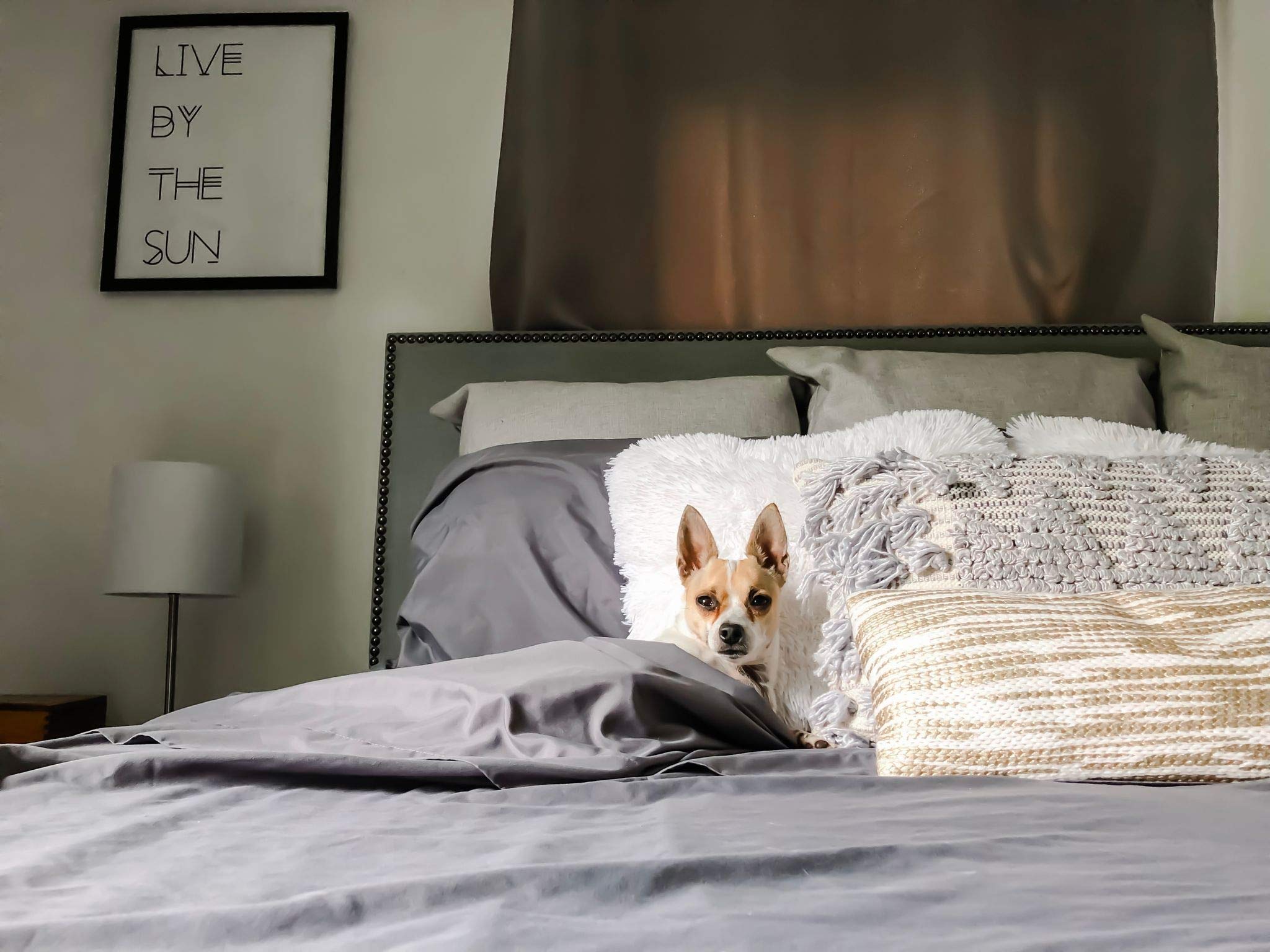 Peachskinsheets Graphite Gray Sheet Set - 1500Tc Level Of Softness - Extra Soft Cooling Sheets For Hot Sleepers And Night Sweats