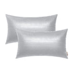 BRAWARM Silver Leather Throw Pillows 12 X 20 Inches, Snake Leather Pillow Covers Pack of 2, Faux Leather Decorative Lumbar Pillo