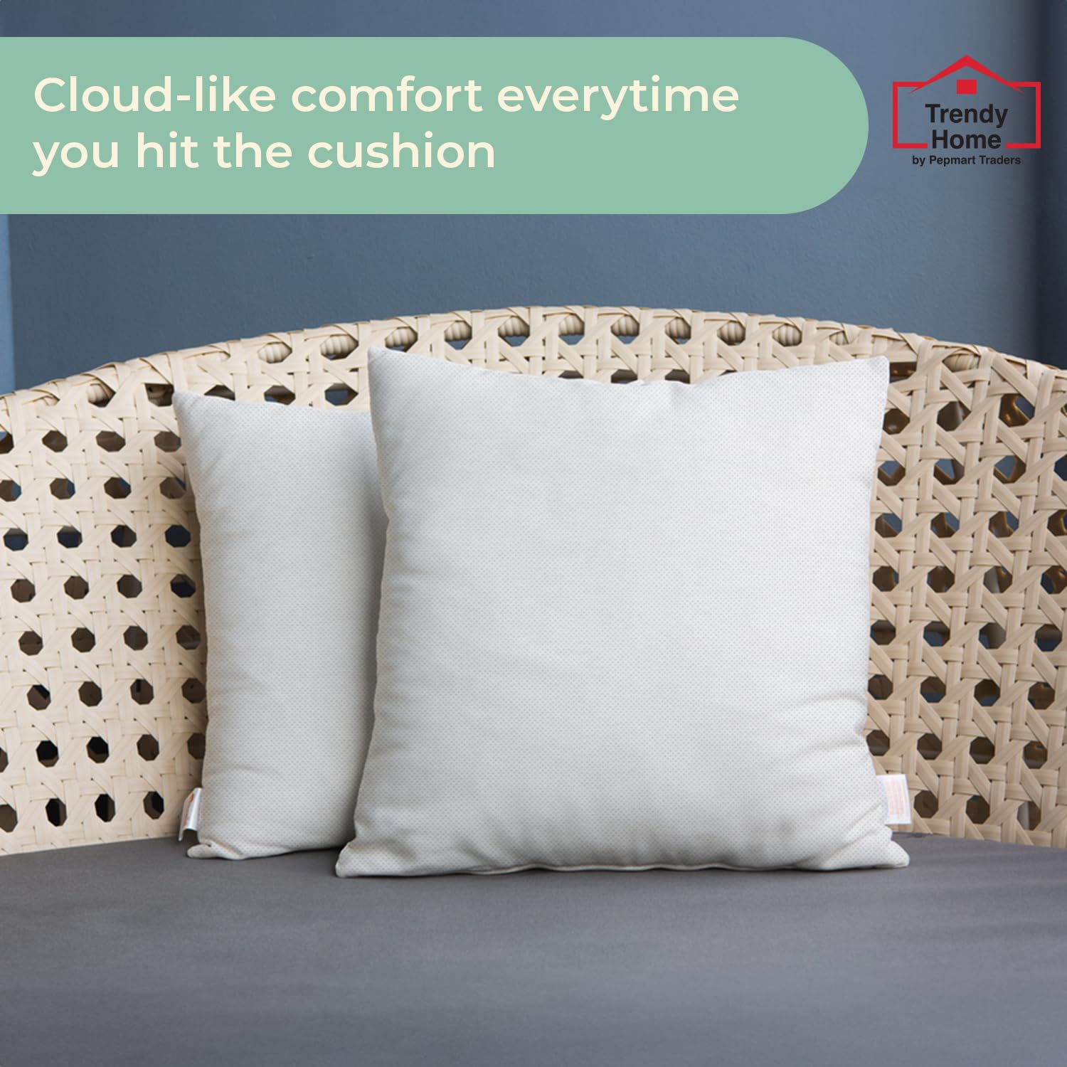 Trendy Home 20X20 Throw Pillow Insert (Set Of 4, White) Bed And Couch Pillows Stuffer Hypoallergenic, Decorative Home Indoor Out