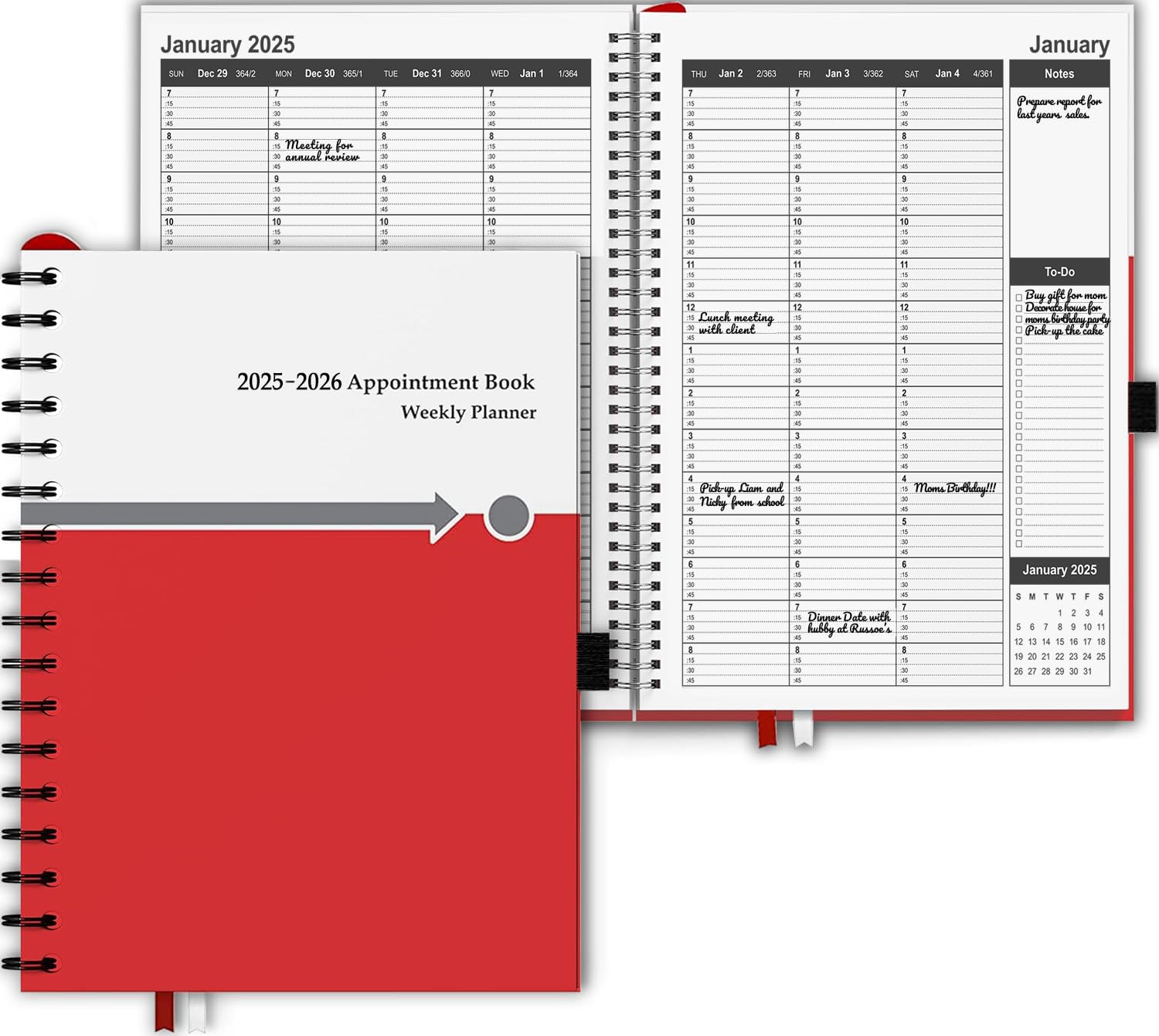 Appointment Book 2025 2026 Daily & Hourly 15 Minutes, Schedule Planner Book By Strive Zen, Hardcover, Large, 8.5' X 11', Hourl
