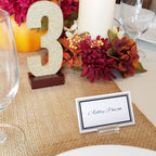 Onfireguy 24Pcs Place Card Holder Display Stands | 1.25'' Acrylic Card Holders For Wedding Place Cards Table Numbers Product Lab