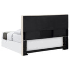 Coaster Home Furnishings Pirro Transitional 46-inch Fabric Upholstered Panel Headboard for Bedroom King Size Sand 315980K