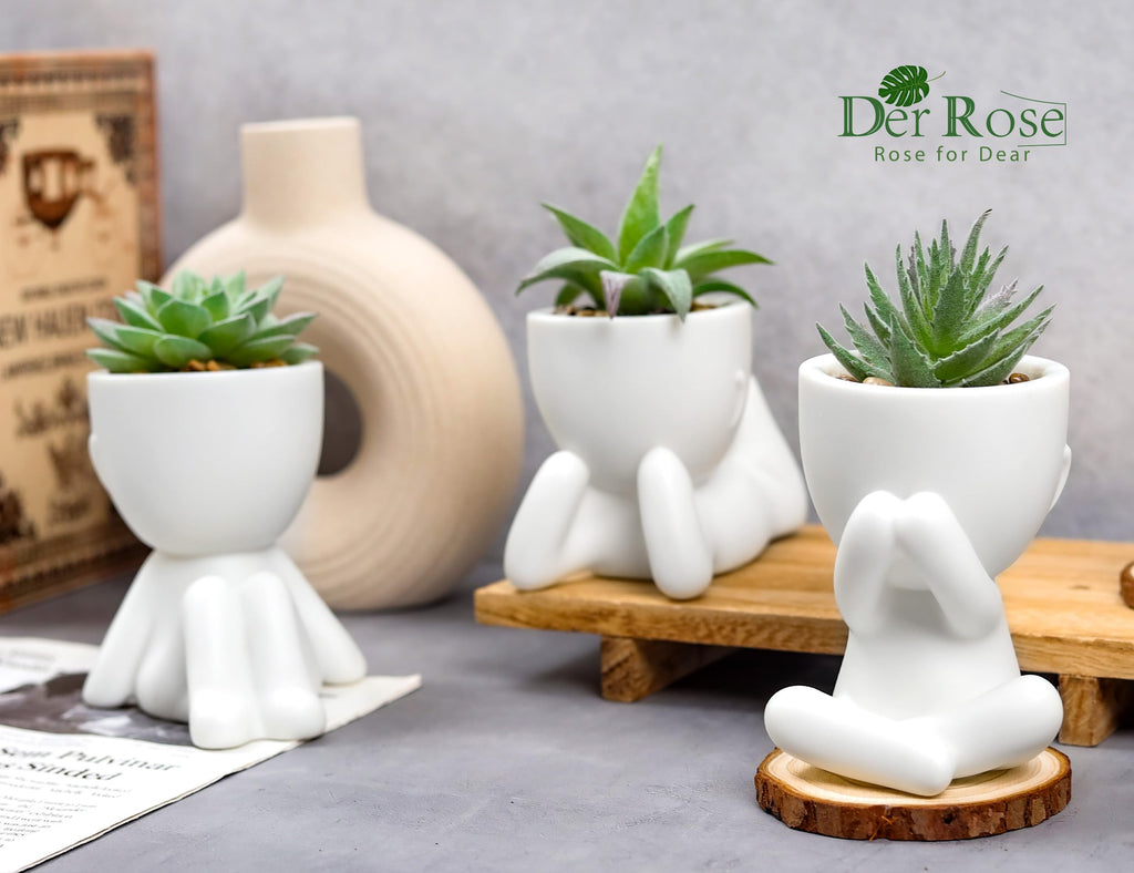 Der Rose 3Pcs Fake Succulents Plants Artificial For Bathroom Bedroom Home Room Decor Aesthetic Indoor