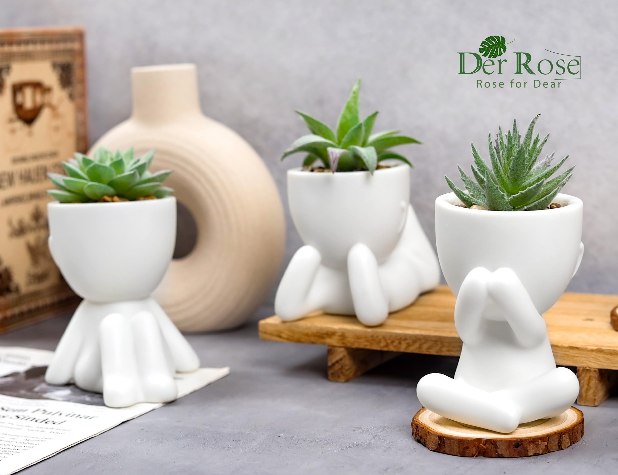 Der Rose 3Pcs Fake Succulents Plants Artificial For Bathroom Bedroom Home Room Decor Aesthetic Indoor