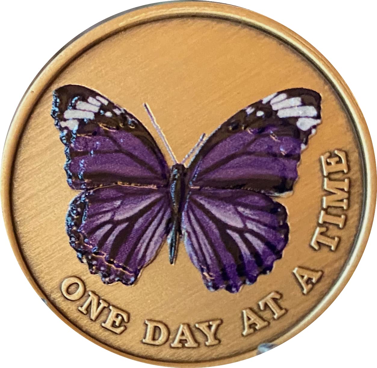 Purple Color Butterfly One Day At A Time Medallion Serenity Prayer Bronze Chip