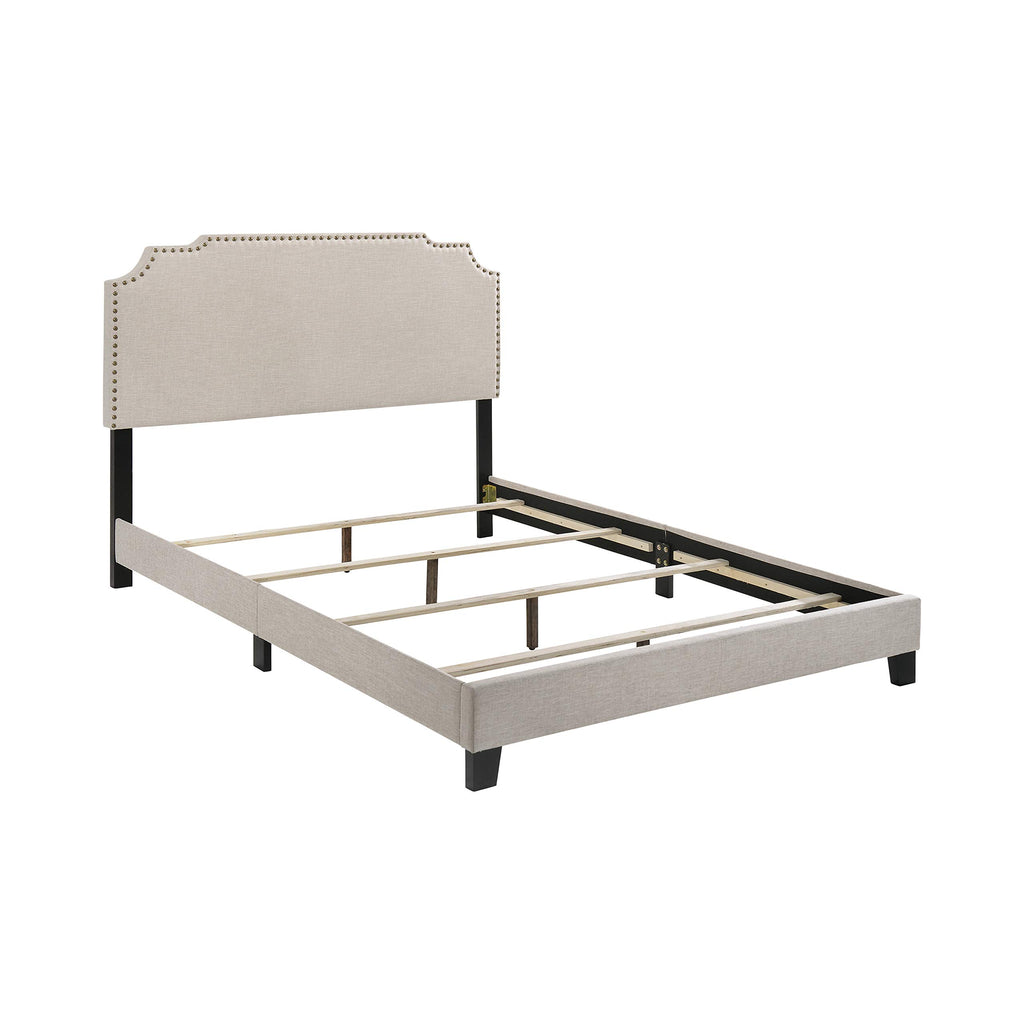Coaster Furniture Tamarac Modern Upholstered Full Bed Panel Headboard Antique Brass Nailheads Beige Fabric 310061F
